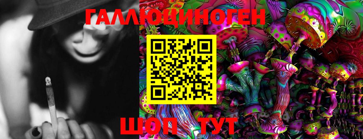 Псилоцибиновые грибы Cubensis Фролово