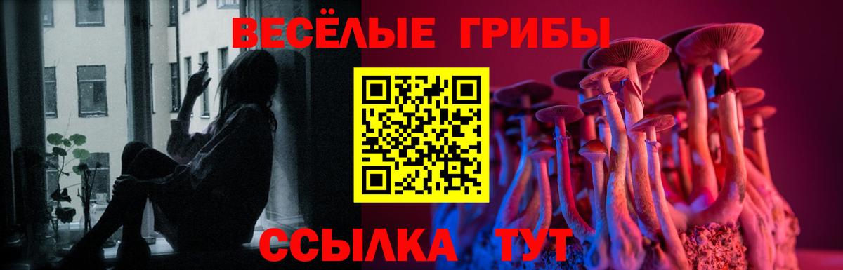 Фролово  Галлюциногенные грибы мицелий  Вход с VPN  Псилоцибиновые грибы Magic Shrooms 